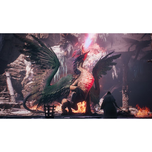 Dragon's Dogma 2: Dark Arisen, PlayStation 5 - Игра