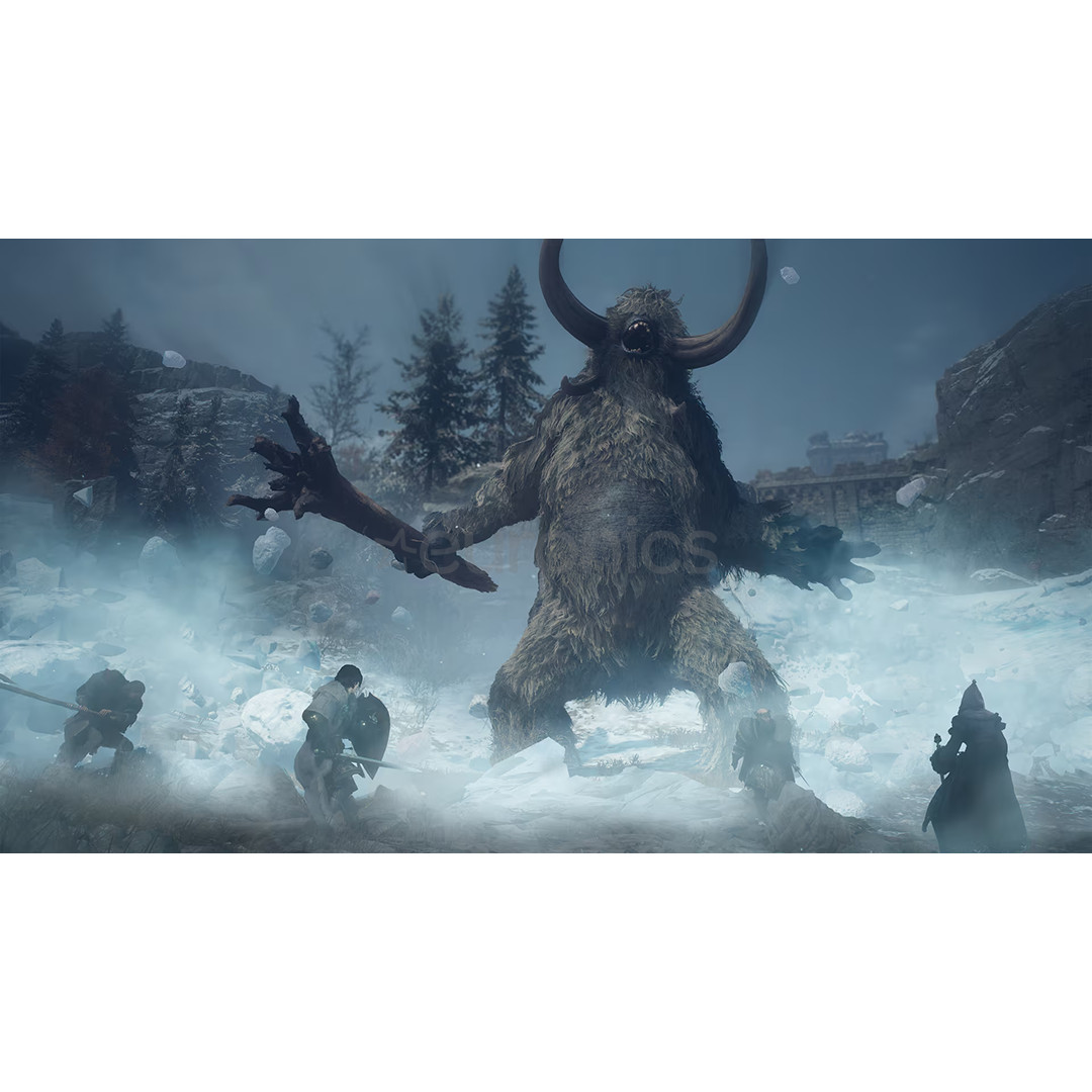 Dragon's Dogma 2: Dark Arisen, PlayStation 5 - Игра