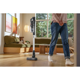 Bisselll PowerClean FurFinder Pro, must/hõbedane - Juhtmevaba varstolmuimeja