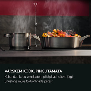 AEG 7000 Seeria, 760 m³/h, must - Õhupuhasti