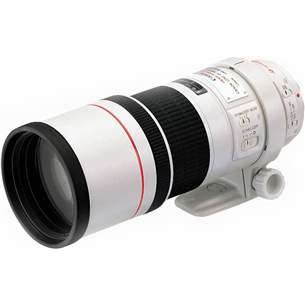 EF 300mm f/4L IS USM lens, Canon