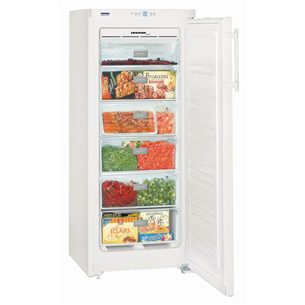 Freezer Liebherr (185 L)