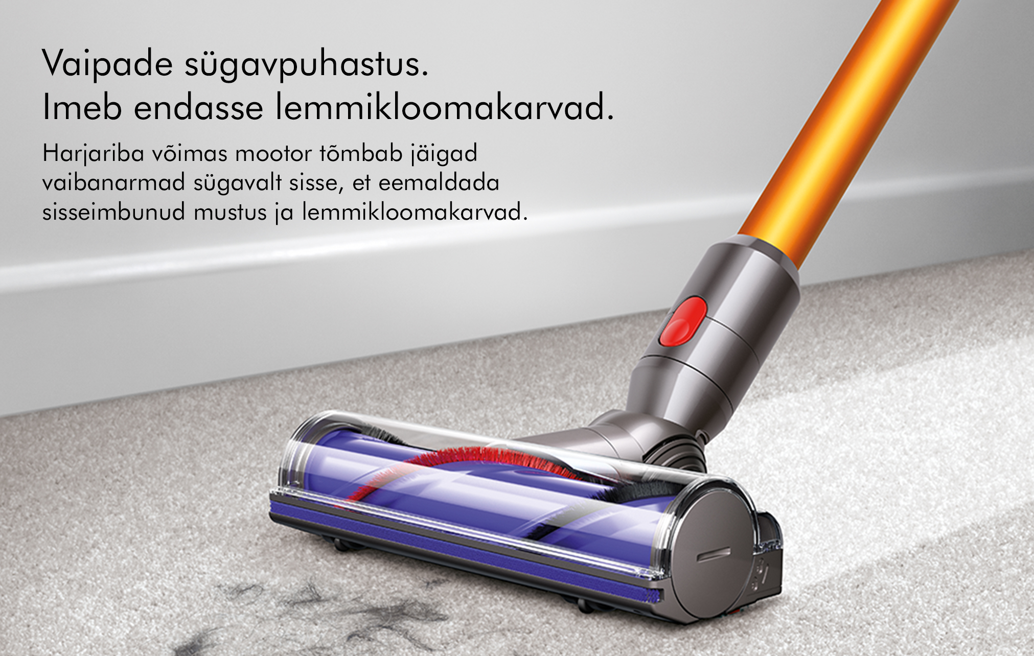 Где можно купить дайсон. Dyson v8 absolute. Dyson v7 Motorhead. Dyson v7 animal Extra. Пылесосы Dyson v8 absolute комплектация.